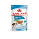 Royal Canin Mini Puppy, pentru câini, 85 g